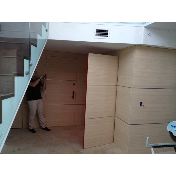 Bicolor Modern Doors