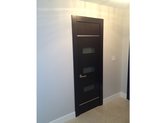 Hallandale Contemporary Doors